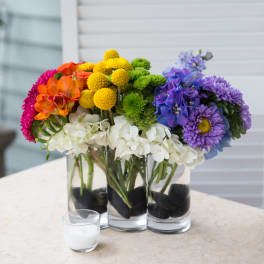 Rainbow Garden