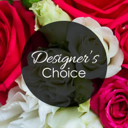 Close-up of red and white roses with a "Designer’s Choice" label