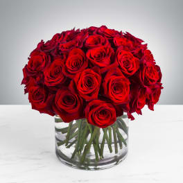 Dense dome of red roses in a clear glass cylinder vase on a white surface