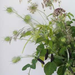 Meadow Greens