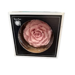 Preserved Pink Rose
