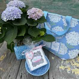 Potted hydrangea plant with a blue tote and small gift items
