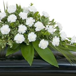 White carnation casket spray with lush foliage on a black casket