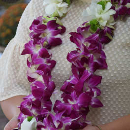 Purple and white orchid lei worn around a person’s neck and held in their hands