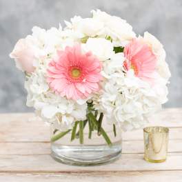 Blush