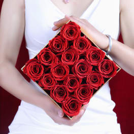 Box of red roses held by a person in a white dress