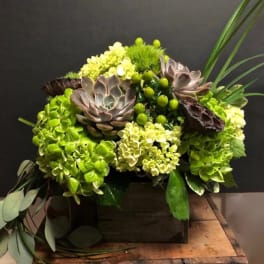 Green floral arrangement with succulents and hydrangeas in a wooden box