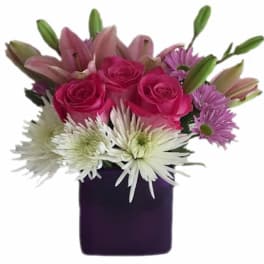 Compact arrangement of pink roses, lilies and white mums in a purple cube vase