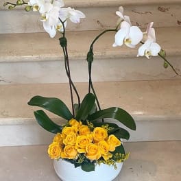 White orchids and yellow roses arranged in a white ceramic bowl with lush green leaves