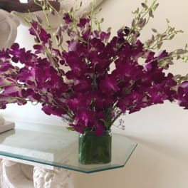 Spray of bright purple dendrobium orchids arranged in a low square glass vase.