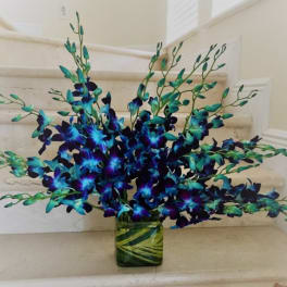 Tall spray of blue and teal orchids in a leaf-lined square glass vase