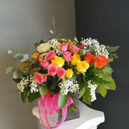 Spray Roses - Dizzy Dozen