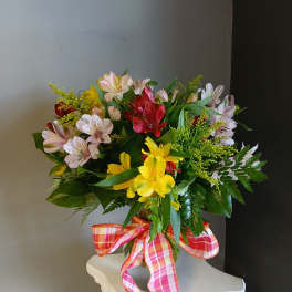 Alstromeria - Dizzy Dozens