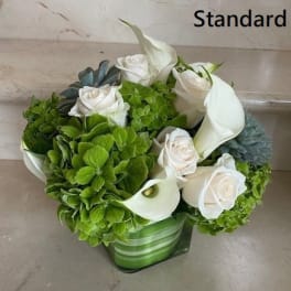 Short arrangement of white roses and calla lilies with green hydrangeas and succulents in a square glass vase