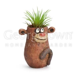 Cartoon monkey-shaped planter with a green plant on top