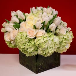 Low arrangement of white tulips, cream roses, and green hydrangeas in a square glass vase.
