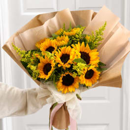SUNFLOWER FIELDS