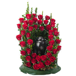 Red roses arranged around a black urn