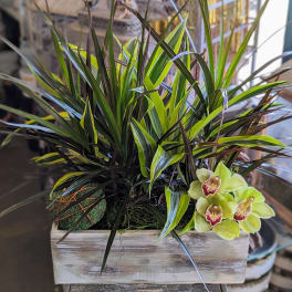 Lush Modern Planter