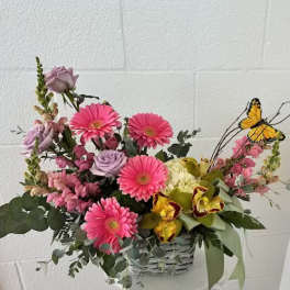 Flutter and Bloom
