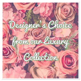 Pink rose floral background with text overlay