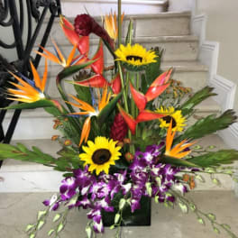 Tall tropical arrangement with birds of paradise, sunflowers, and purple orchids in a black vase