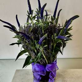 Purple flower arrangement in a glass vase with a ribbon bow