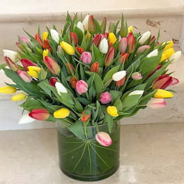 Large arrangement of multicolor tulips in a clear glass cylinder vase