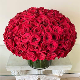 Large dome of tightly packed red roses arranged in a low clear glass vase