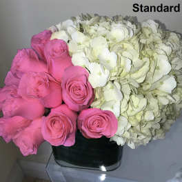 Low arrangement of pink roses and white hydrangeas in a square glass vase