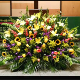 PODIUM ARRANGEMENT 111 [TTPOD111]