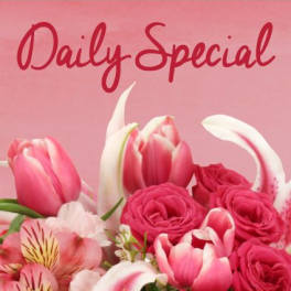Pink and white flowers arranged beneath the words Daily Special
