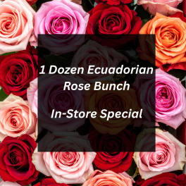 1 Dozen Ecuadorian Rose Bunch