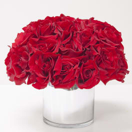 Compact arrangement of red roses in a clear glass cylinder vase