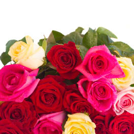 Bouquet of red, pink, and pale yellow roses