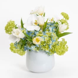 White tulips and orchids in a white vase with blue hydrangeas