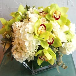 Low arrangement of green cymbidium orchids, white hydrangeas, and roses in a clear glass cube vase