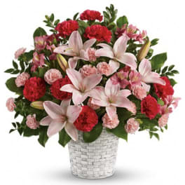 Sweet Sincerity [T258-1A]