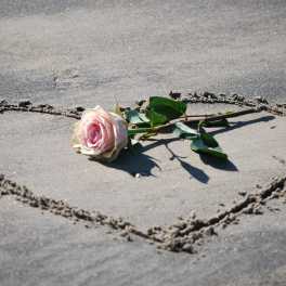 Single pink rose lying inside a heart drawn in sand