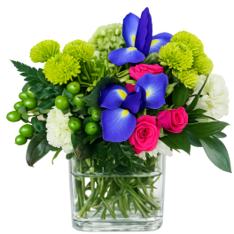 Low arrangement of blue irises, hot pink roses, green button mums and white flowers in a clear glass cube vase
