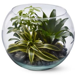 Round glass bowl terrarium with assorted green houseplants and dark pebbles.