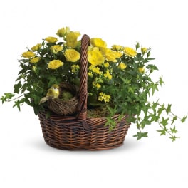Basket of yellow flowering plants and ivy with a small bird nest decoration on the handle