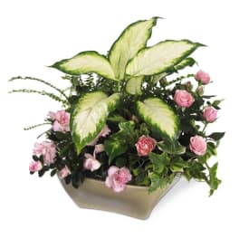 The Garden of Grace Planter