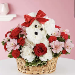 Love puppy