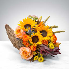 Cornucopia Utopia by BloomNation™