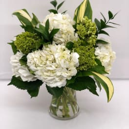 White hydrangea bouquet with green blooms in a clear glass vase