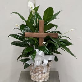 White peace lilies in a wicker basket with a wooden cross and white ribbon