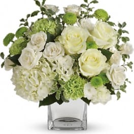 White roses and green pompons in a clear glass vase