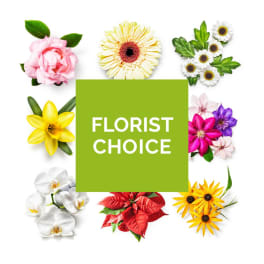 Florist choice graphic with assorted flowers around a green square