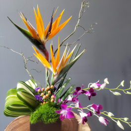 Tropical arrangement with orange bird of paradise and purple orchids in a square container